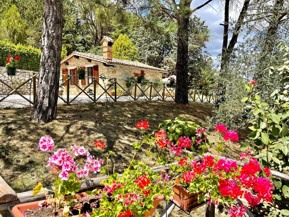 La Panoramica Gubbio - Maison De Charme - Casette E Appartamenti Self Catering Per Vacanze Meravigliose! Exterior foto