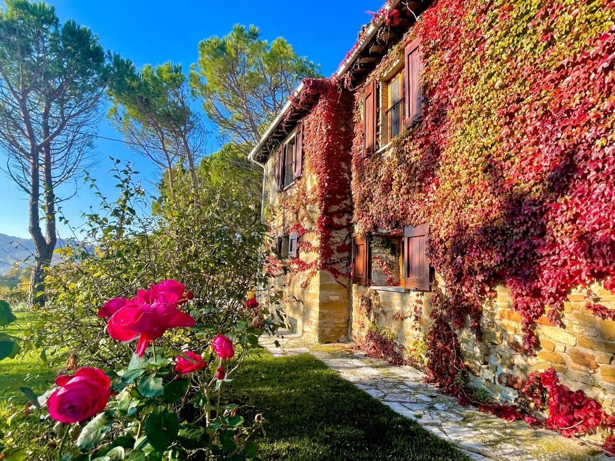 La Panoramica Gubbio - Maison De Charme - Casette E Appartamenti Self Catering Per Vacanze Meravigliose! Exterior foto