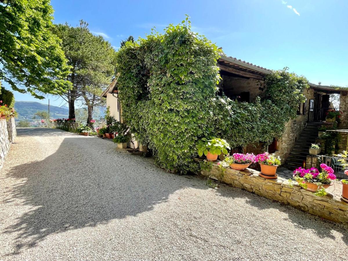 La Panoramica Gubbio - Maison De Charme - Casette E Appartamenti Self Catering Per Vacanze Meravigliose! Exterior foto