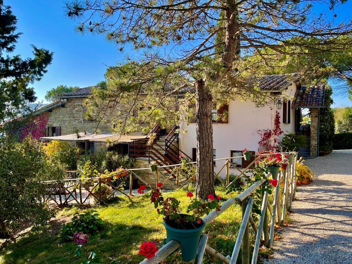 La Panoramica Gubbio - Maison De Charme - Casette E Appartamenti Self Catering Per Vacanze Meravigliose! Exterior foto