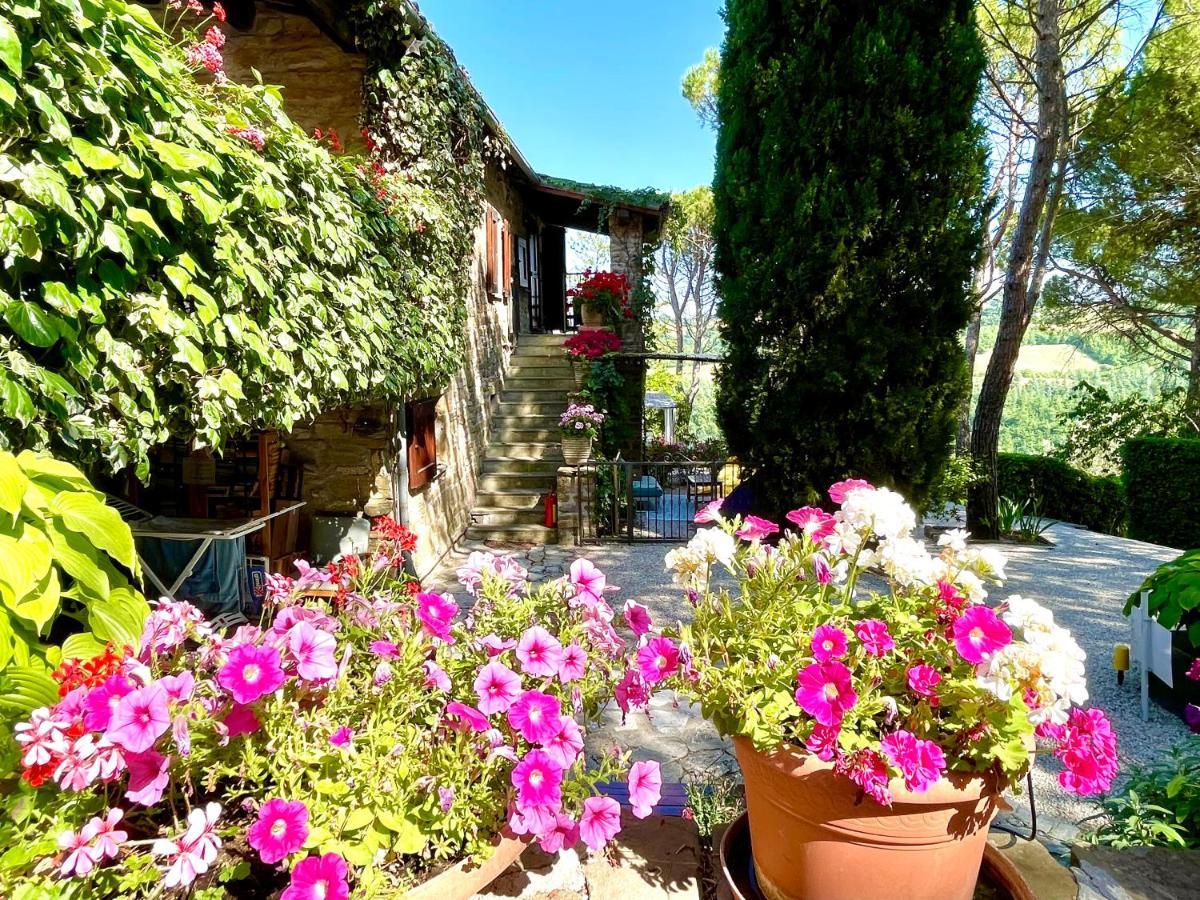 La Panoramica Gubbio - Maison De Charme - Casette E Appartamenti Self Catering Per Vacanze Meravigliose! Exterior foto